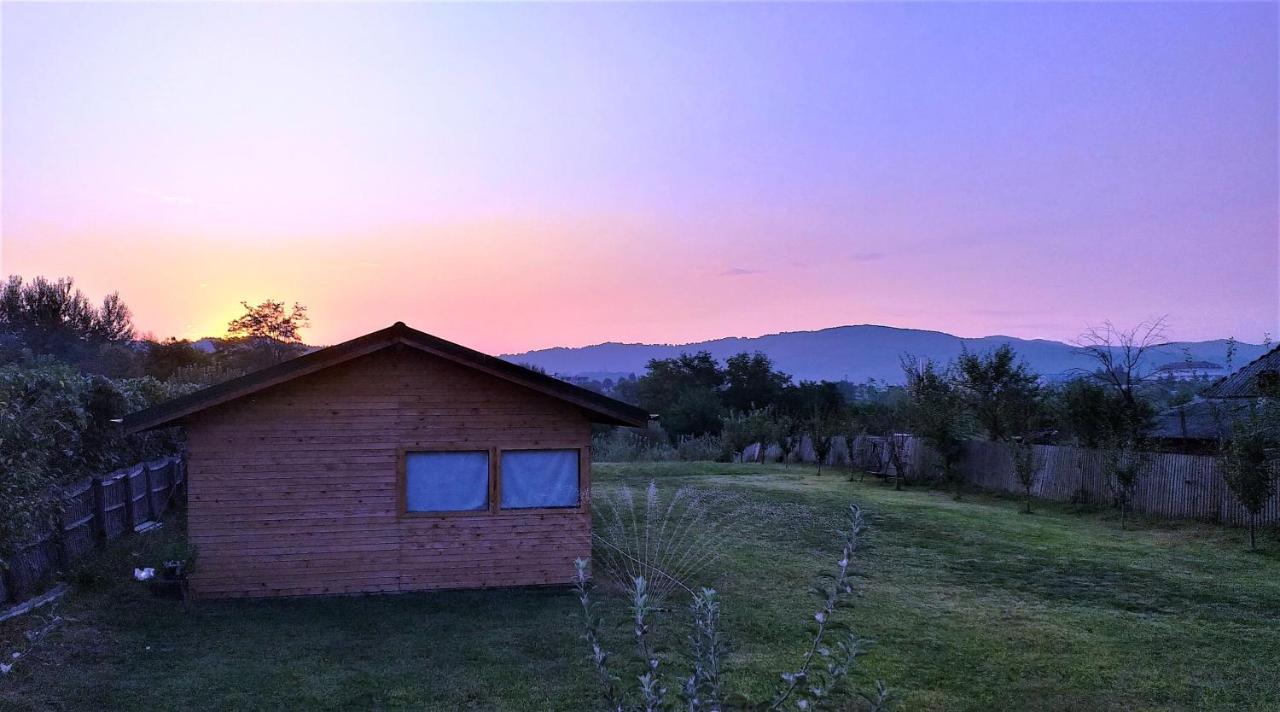 La Livada Βίλα Valea Danului Εξωτερικό φωτογραφία