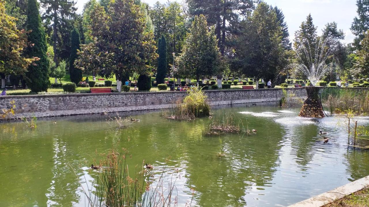 La Livada Βίλα Valea Danului Εξωτερικό φωτογραφία